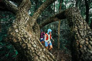 BIB: 
                            <button type="button" onclick="openModal(25394155)" class="btn btn-primary btn-sm float-right btn-popup" data-toggle="modal" data-target=".modal-high-quality">
                        <i class="fas fa-shopping-cart"></i> Add to Cart
                    </button>
                                            <button type="button" onclick="isThisMe(25394155, true)" class="btn btn-success btn-sm float-right btn-popup btn-isme hidden" data-toggle="tooltip" data-placement="bottom" title="นี่คือรูปของคุณใช่ไหม คลิกที่นี่เพื่อเอาเข้าอัลบั้ม">
                        <i class="fas fa-plus"></i> Add to album
                    </button>
                    <button type="button" onclick="isThisMe(25394155, false)" class="btn btn-warning btn-sm float-right btn-popup btn-isnotme hidden">
                        <i class="fas fa-ban"></i> Remove from album
                    </button>